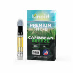 Binoid THC-B Vape Cartridge | Caribbean Breeze