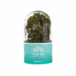 Urb THC Infinity Caviar Hemp Flower | Gas Berry - 7g