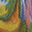 Rainbow Eucalyptus