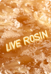 Lord Vaper Pens offers a premium selection of live rosin dabs, live rosin vapes, and more.