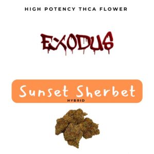 Exodus high potency thca flower with sunset sherbet hybrid strain profile