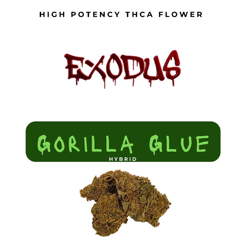 Exodus high potency thca flower with gorilla glue hybrid strain profile.
