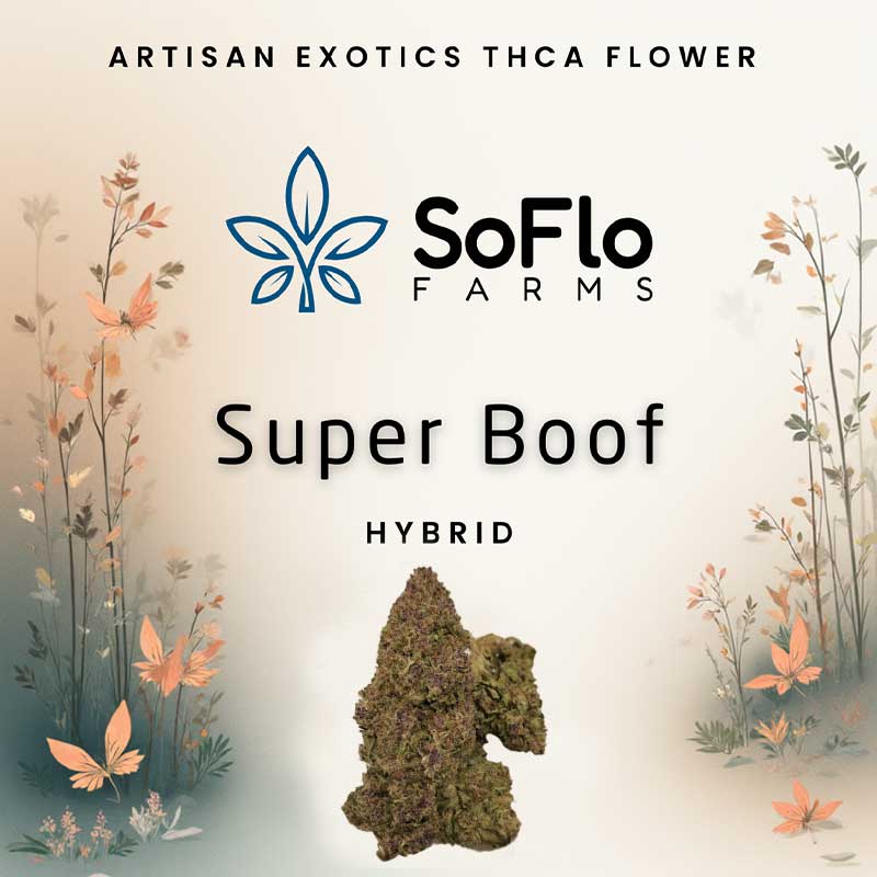 SoFlo Farms artisan exotics high potency thca flower with super boof hybrid strain profile