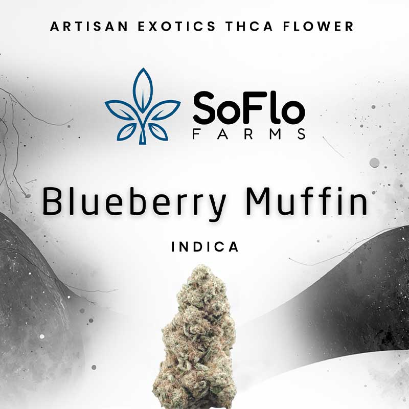 SoFlo Farms artisan exotics high potency thca flower with blueberry muffin indica strain profile